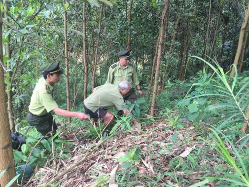 Kiểm lâm Thái Nguyên với công tác phòng cháy rừng